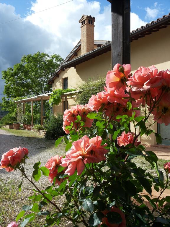 B&B Antegiano Belforte del Chienti Exteriér fotografie